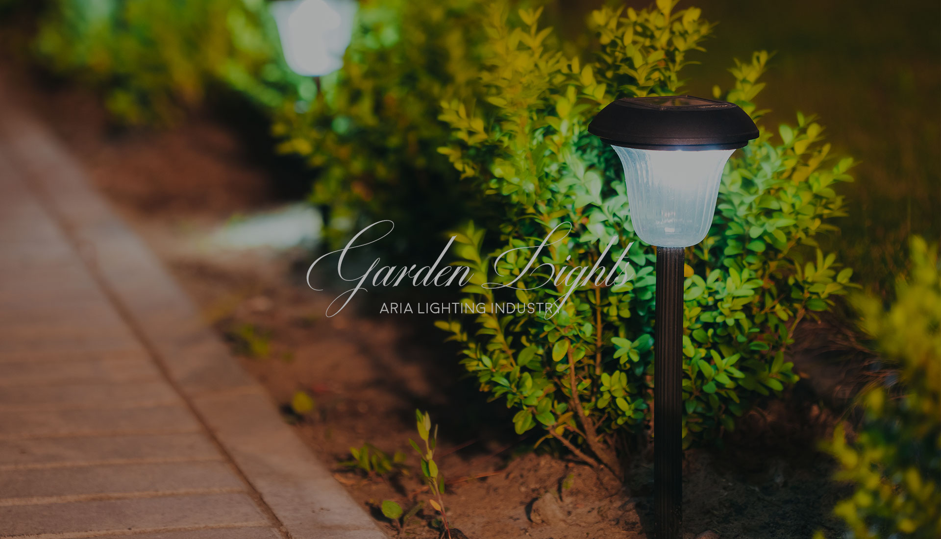 محصولات پارکی